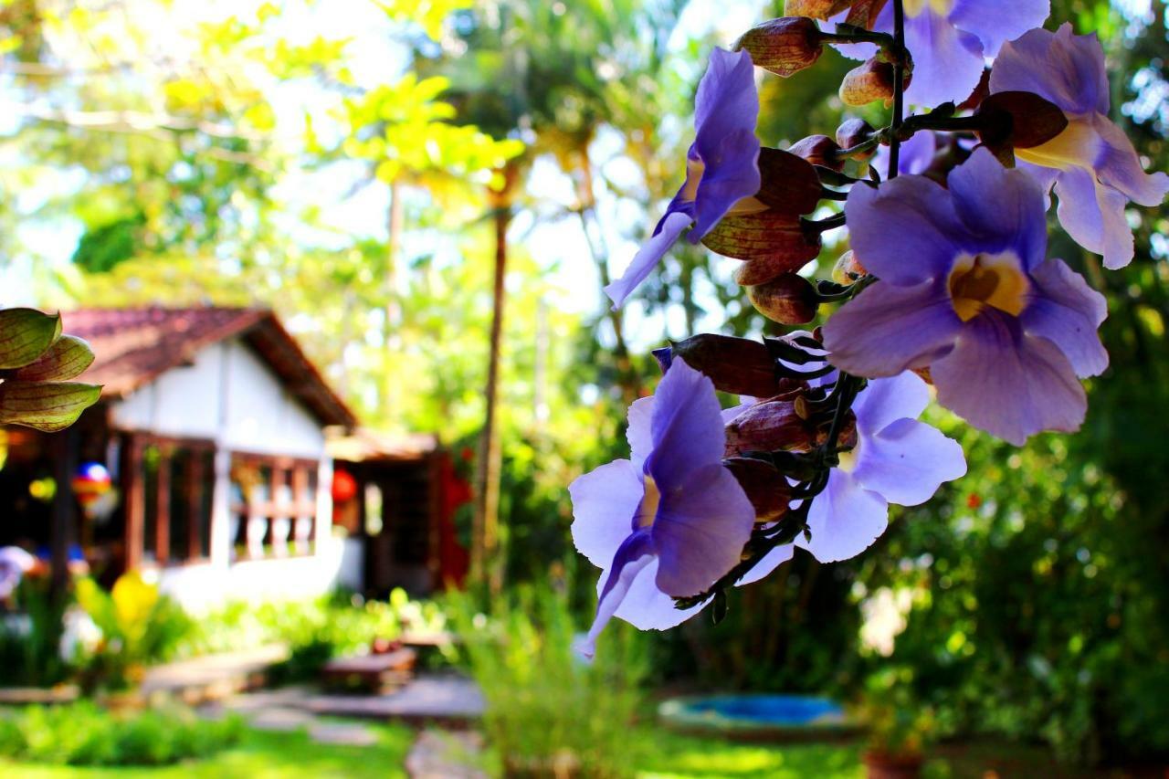 Recanto Das Andorinhas Studios Araquari Buitenkant foto